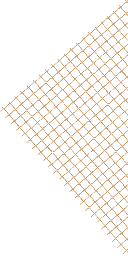 Elegant architectural background visual by Interiar Design Studio